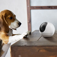 Cámara EZVIZ Wifi, H6, 3MP, 2.4GHz y 5 GHz, 360 SH Hasta 512GB Auto Seguimiento, Soporta ONVIF.