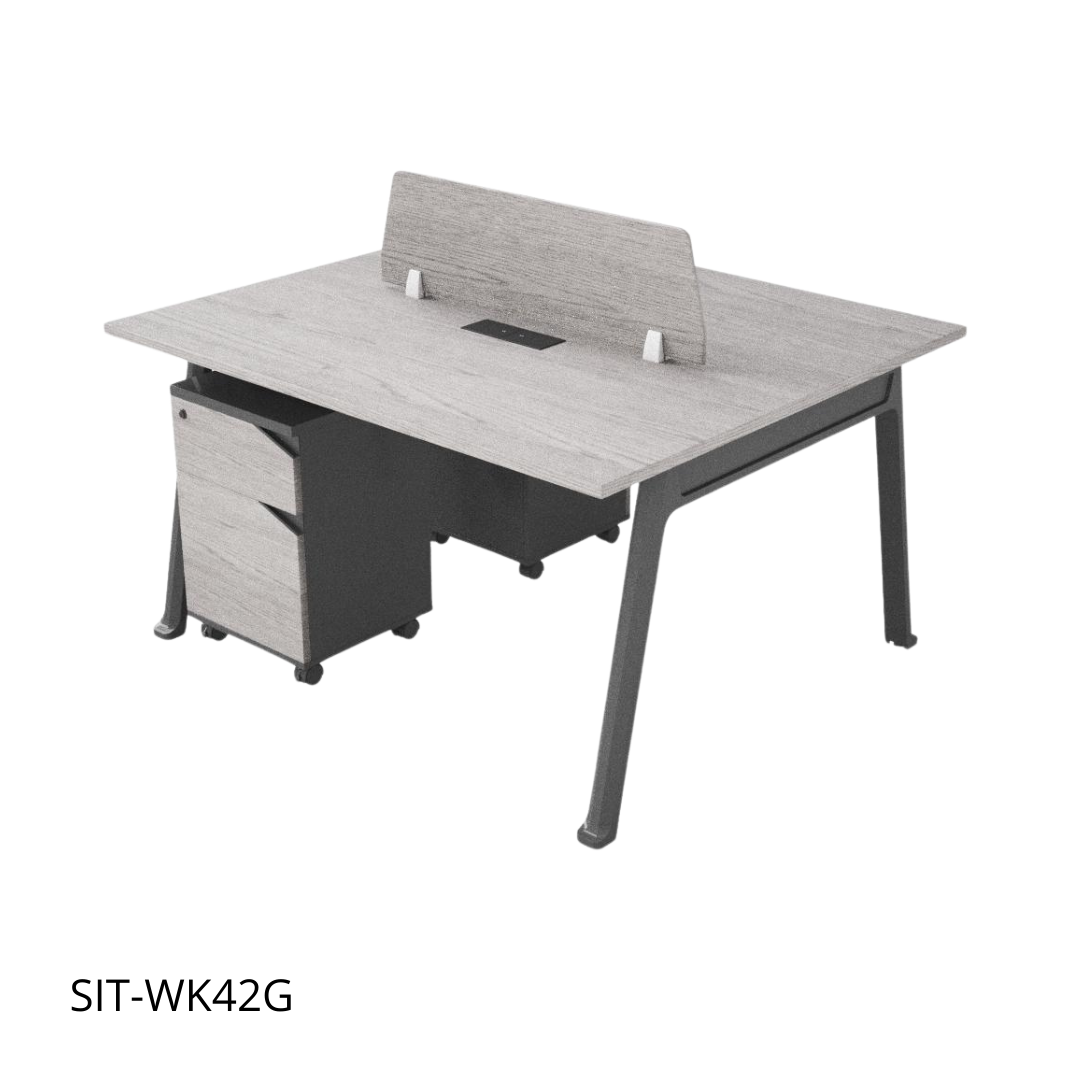 Estación de Trabajo (Workstation) SIT, 2 Módulos, 1 Gaveta+1 Almacenamiento, Panel Privado, Pasacable, Color Blanco + Gris Oscuro. SIT-WK42 / SIT-WK42G